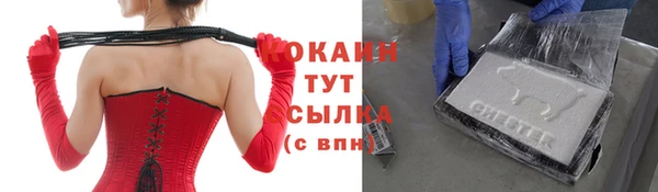 бошки Снежногорск