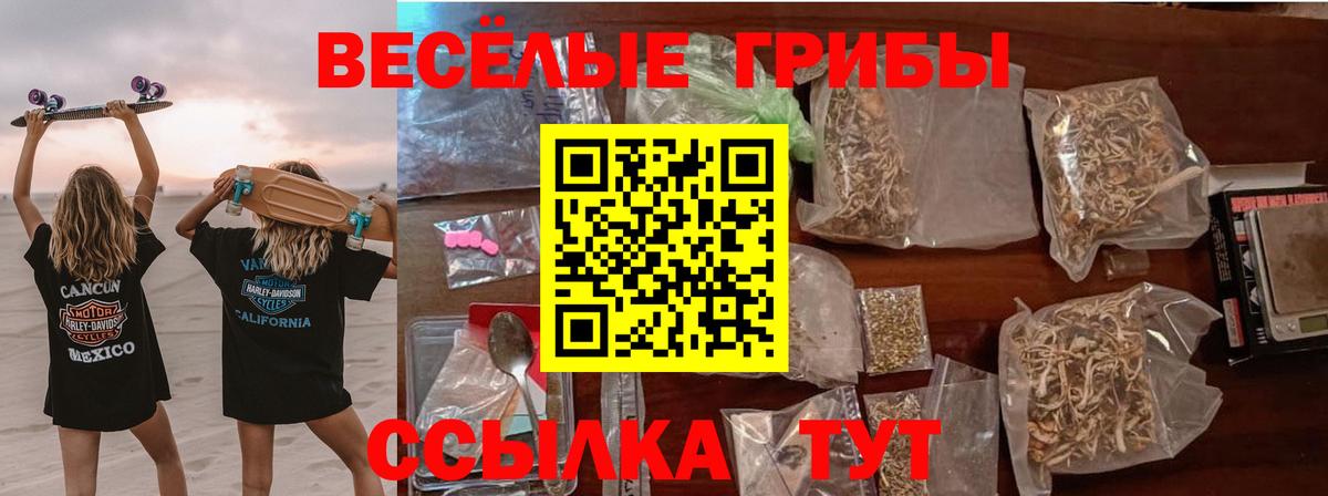 Галлюциногенные грибы Magic Shrooms Мценск