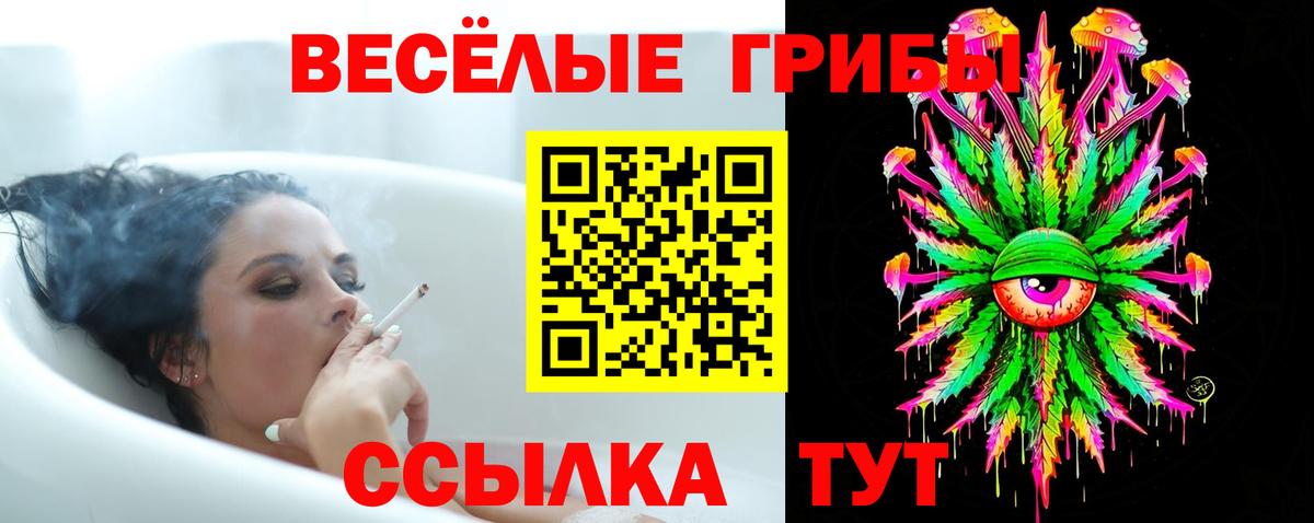 Галлюциногенные грибы мухоморы  Вход с VPN  Мценск  Галлюциногенные грибы Cubensis 
